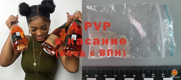 стаф Абинск