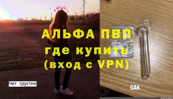 стаф Абинск