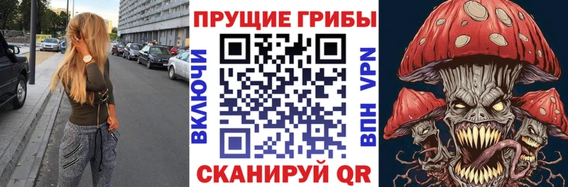 Галлюциногенные грибы Cubensis  Власиха 